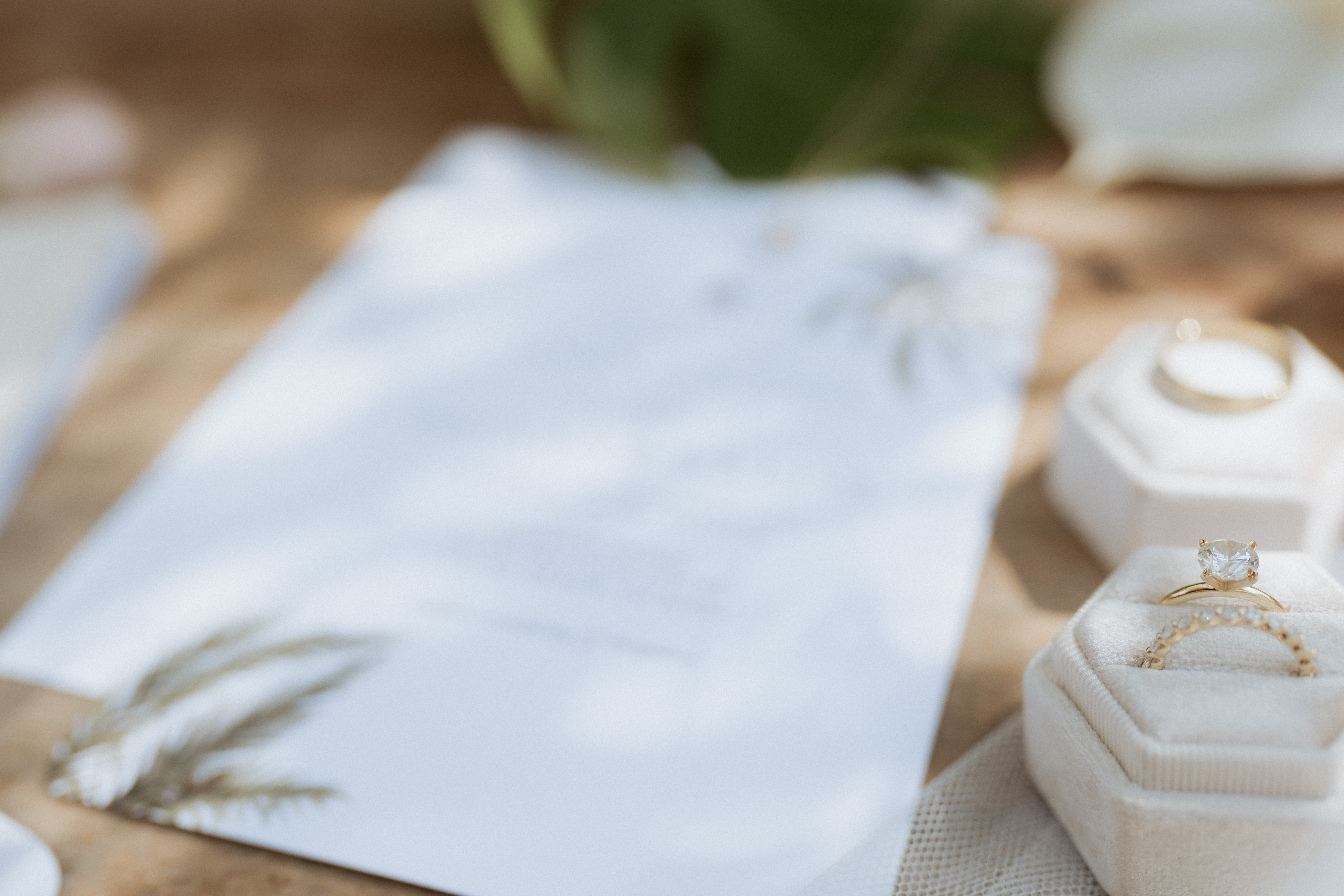 Officiant — real OLW wedding